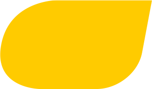 yellow bottom bg